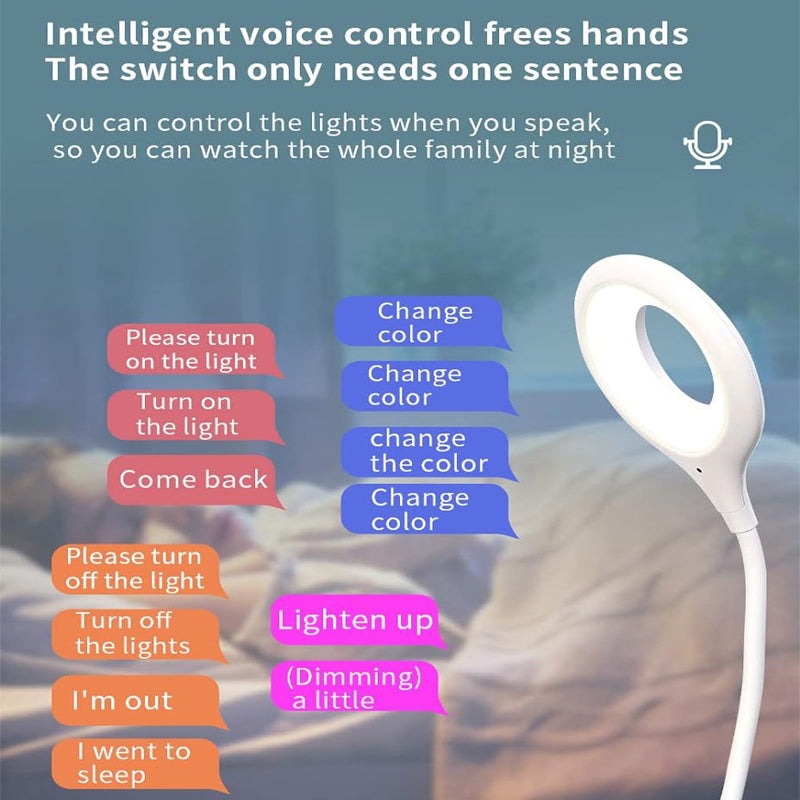 Usb-smart-voice-lamp